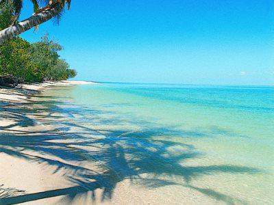 Bedarra Island Great Barrier Reef Exterior photo